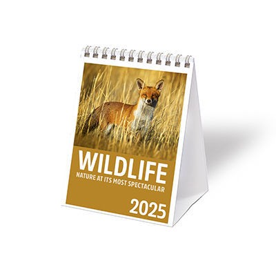 Wildlife Mini Desk