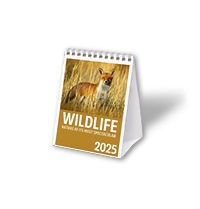 Wildlife Mini Desk