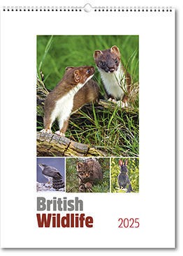 British Wildlife